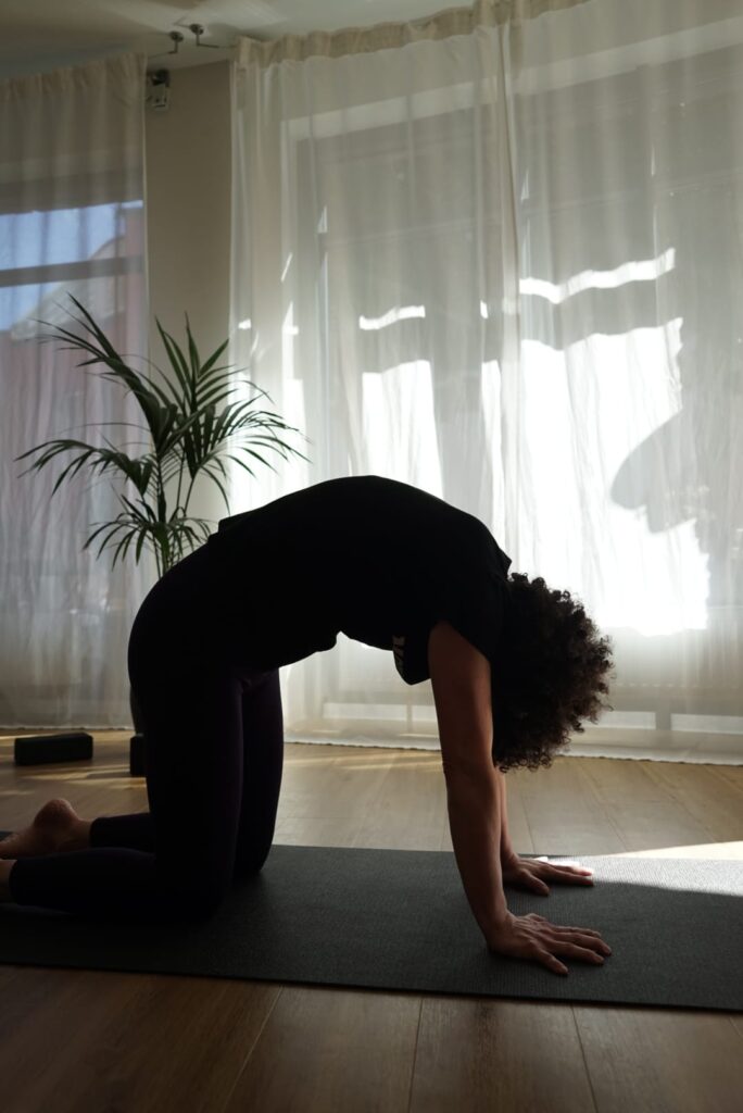 Frau in Yogaposition, Vierfussstand mit rundem Rücken, Pflanze und Gardine im Hintergrund